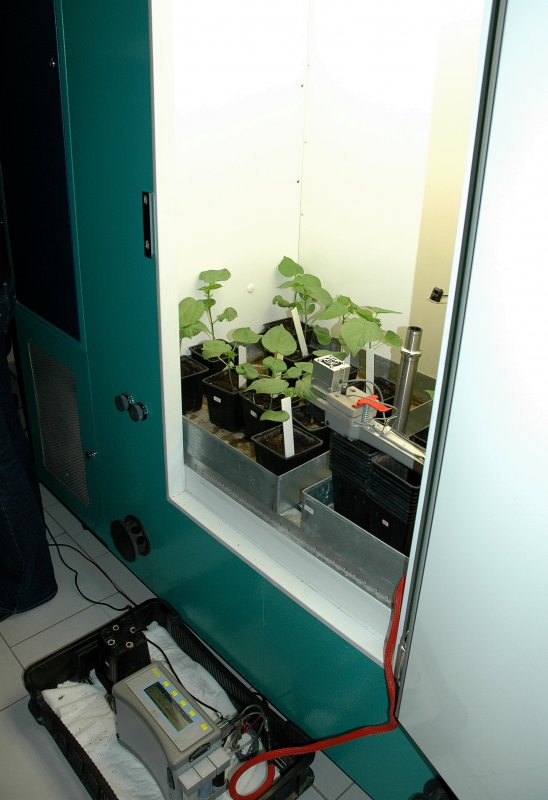 Laboratoř růstu a vývoje rostlin 